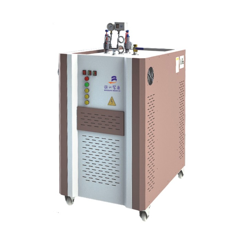 Elektrischer Dampferzeuger